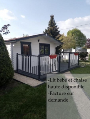 Chalet climatisé et chauffé a Faverges de la Tour
